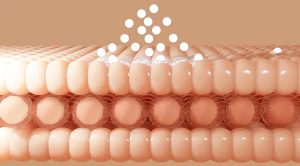 Deri hücrelerine serum ve vitamin damlası. Deri katmanından geçen serum deri hücresinin sarkık derisini küçültür. 3d oluşturma.
