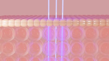 Deri hücrelerine serum ve vitamin damlası. Deri katmanından geçen serum deri hücresinin sarkık derisini küçültür. 3d oluşturma.