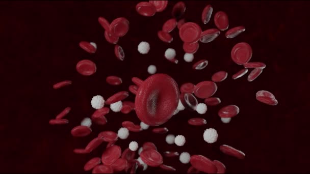 Renderizado Ilustración Médicamente Precisa Demasiados Glóbulos Blancos Debido Leucemia — Vídeos de Stock