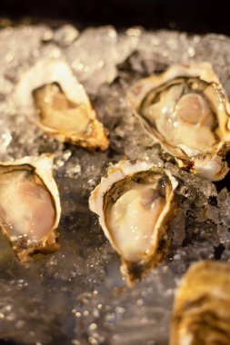  Deniz ürünleri restoranında buzlu taze istiridye. Yemek ya da hizmet için hazır, seçici odaklanma. İstiridye protein bakımından zengin ve çiğ limonla lezzetlidir