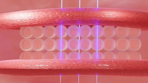 Deri hücrelerine serum ve vitamin damlası. Deri katmanından geçen serum deri hücresinin sarkık derisini küçültür. 3d oluşturma.