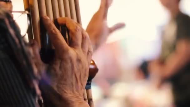 Instrumentos Musicais Tailandeses Chamados Can Khan Tipo Órgão Bucal Junco — Vídeo de Stock