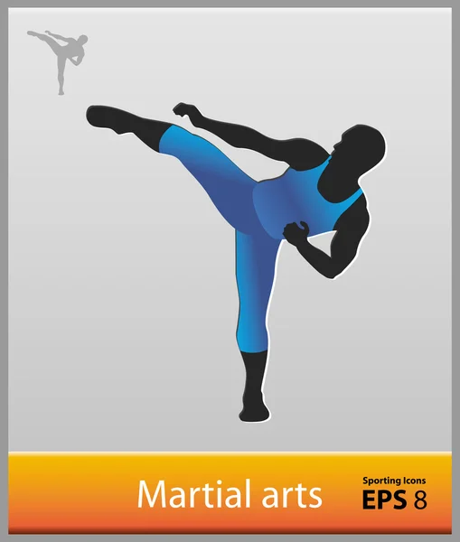 Martial arts — Stock Vector