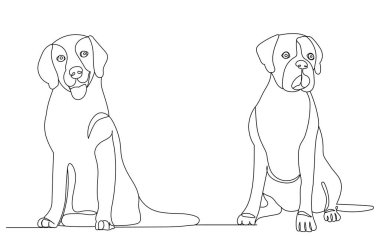 Köpekler sürekli bir çizgi üzerinde oturuyorlar.