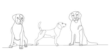 köpek bir çizgi çiziyor, beyaz arkaplanda