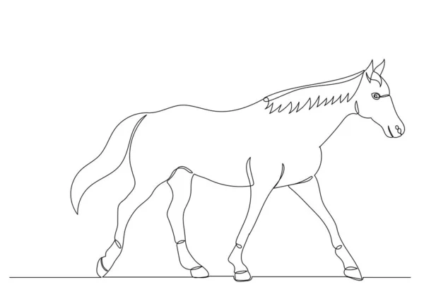 Paardentekening Door Één Doorlopende Lijn — Stockvector