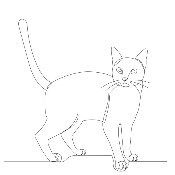 猫用一条线画 — 图库矢量图片
