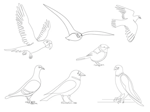 Birds Set Drawing One Continuous Line Vector — Stock Vector
