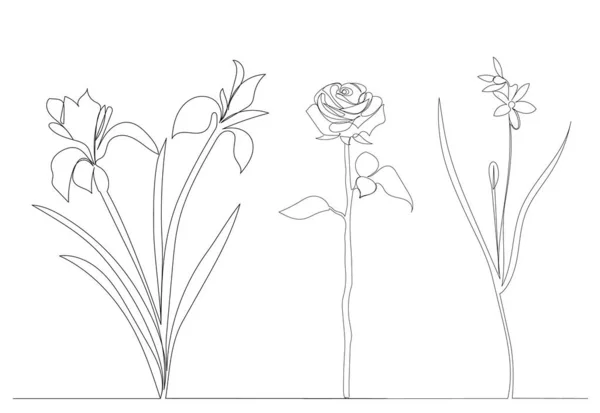 Flores Desenho Por Uma Linha Contínua Vetor —  Vetores de Stock