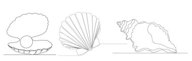 deniz kabukları sürekli çizgi çizme vektörü, izole