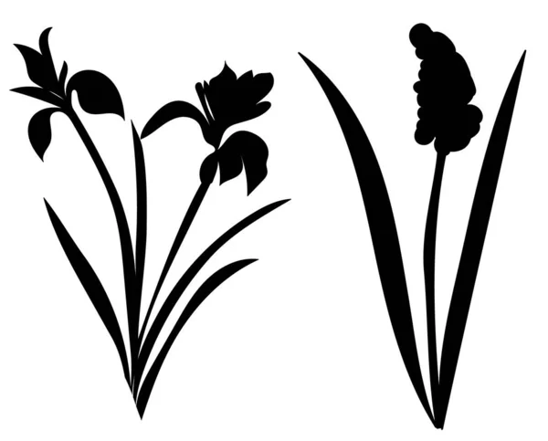 Silhouette Noire Fleurs Vecteur Isolé — Image vectorielle