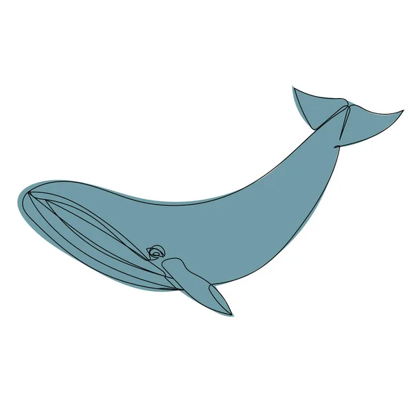 Blue Whale Continuous Line Vector — Stock Vector