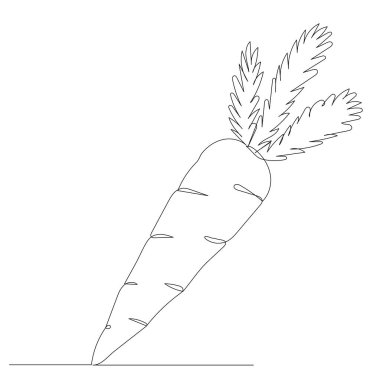 Havuç tek ve sürekli çizgi çizme vektörü