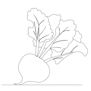 Pancar kökü sürekli bir çizgi vektörü çiziyor