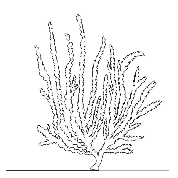 Algen Zeichnen Einen Kontinuierlichen Linienvektor — Stockvektor