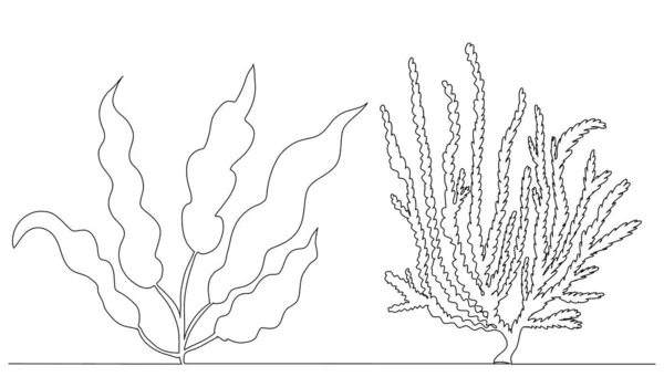 Seaweed Drawing One Continuous Line Vector — Stock Vector