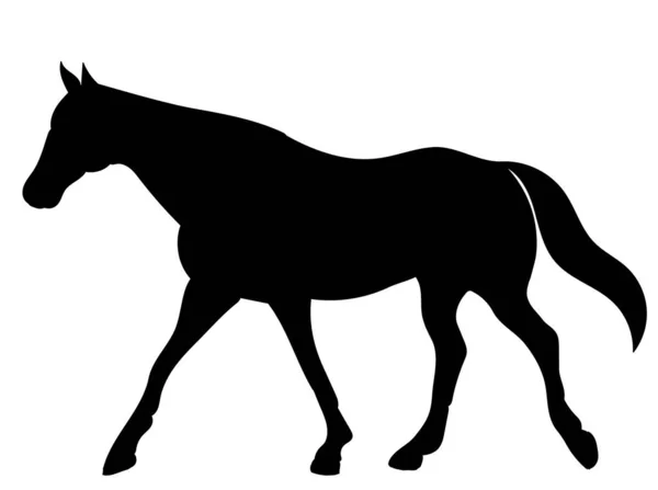 Silueta Negro Caballo Corriendo Vector Aislado — Vector de stock