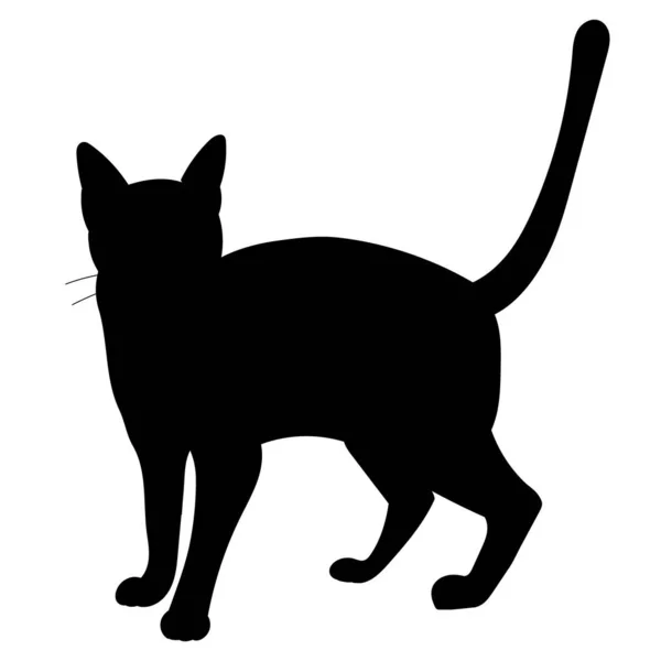 Silhouette Noire Chat Vecteur Isolé — Image vectorielle