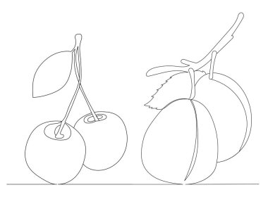 kiraz eriği tek sürekli çizgi çizme vektörü