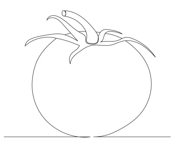 Tomato Single Continuous Line Drawing Vector — Stock Vector