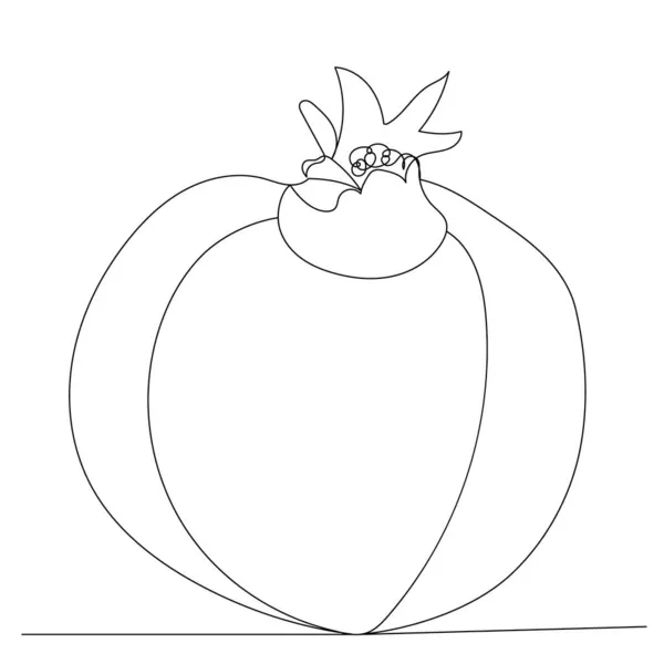 Pomegranate Drawing One Continuous Line Vector — Stock Vector