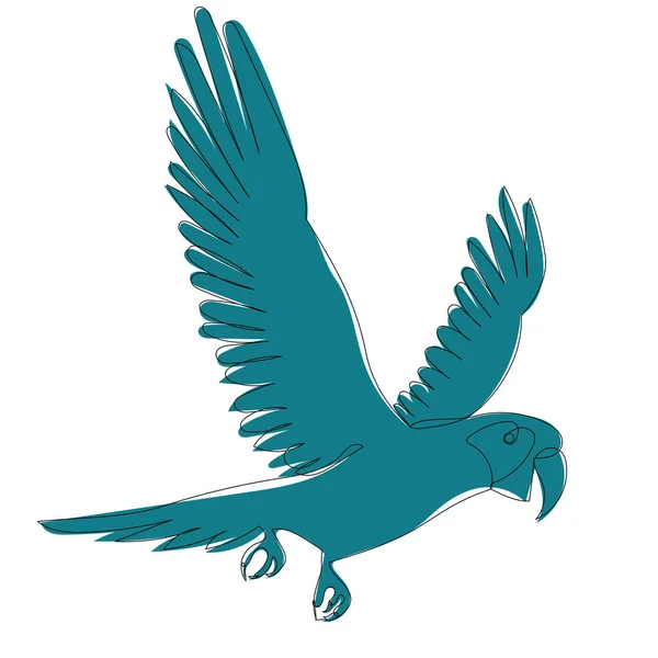 Papoušek Letící Jedním Spojitým Vektorem Kreslení — Stockový vektor
