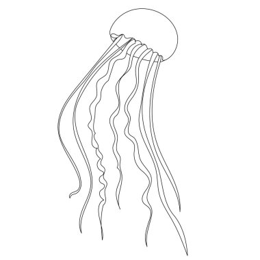 denizanası çizimi sürekli bir çizgi vektörü çiziyor