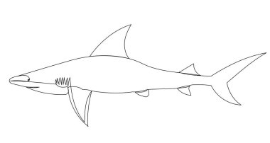 Köpekbalığı çizimi sürekli bir çizgi vektörü çiziyor