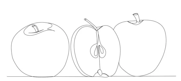 Pommes Dessin Vecteur Ligne Continue — Image vectorielle