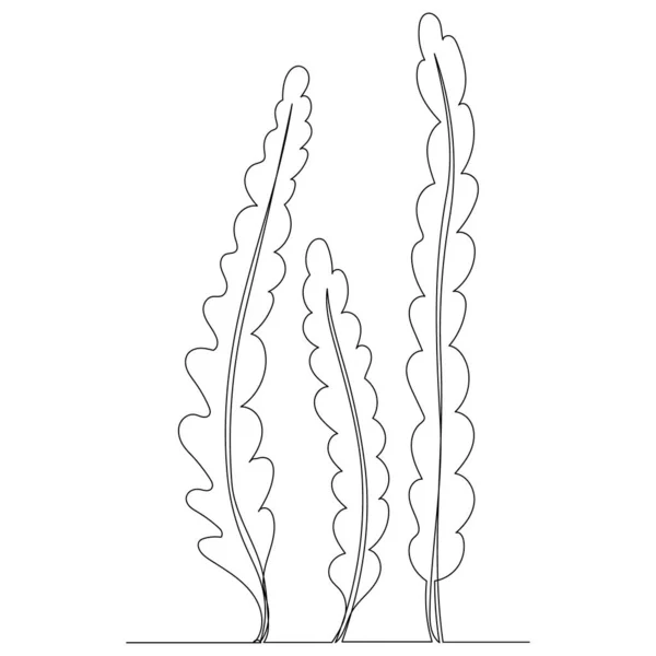 Рисование Морских Водорослей Один Вектор Непрерывной Линии — стоковый вектор