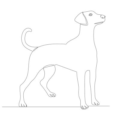 taslak köpek çizimi, vektör