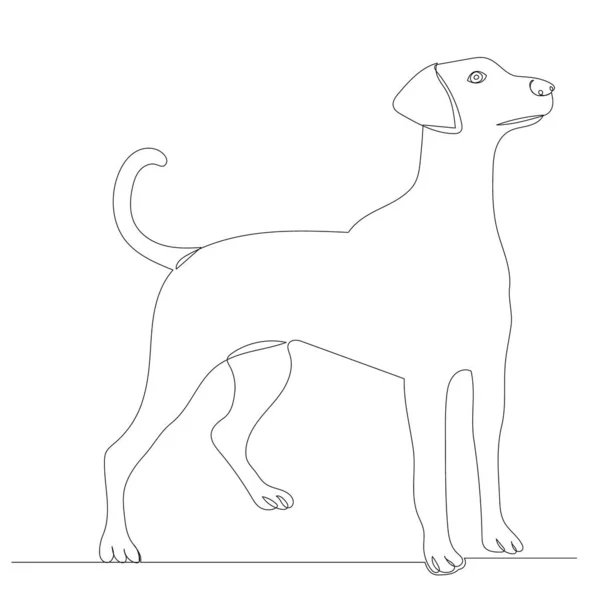 Bosquejo Perro Línea Dibujo Vector — Archivo Imágenes Vectoriales