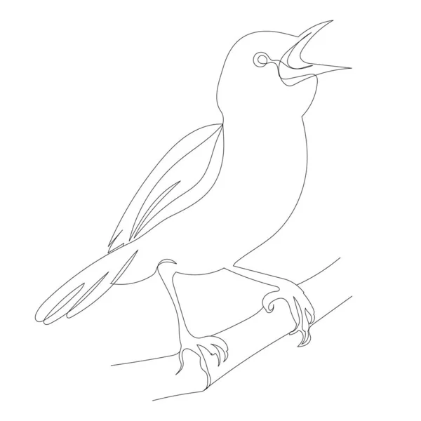 Schets Vogel Een Tak Lijn Tekening Vector — Stockvector