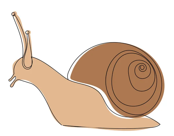 Esboço Linha Caracol Desenho Vetor — Vetor de Stock