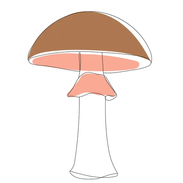 Sketch Brown Mushroom Line Drawing Vector — Stock Vector