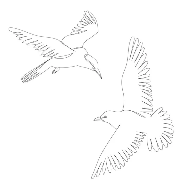 Oiseau Mouches Ligne Dessin Croquis Isolé — Image vectorielle