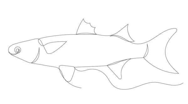 Kresba Ryb Spojitou Čarou Izolovanou Vektorovou — Stockový vektor
