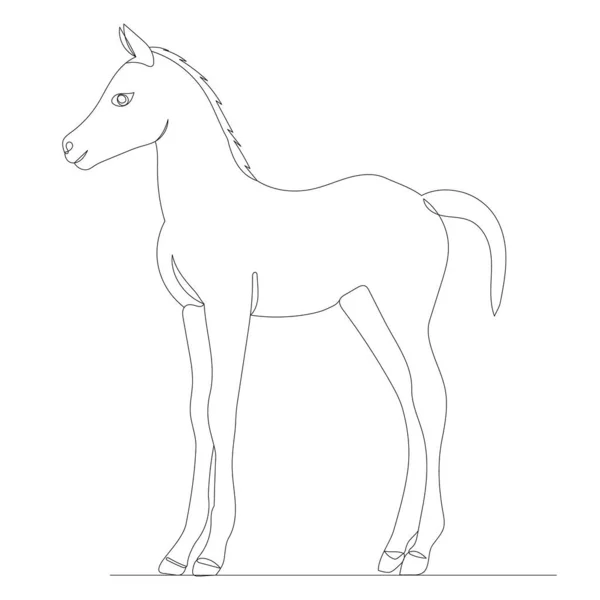 Garis Foal Gambar Sketsa Terisolasi - Stok Vektor