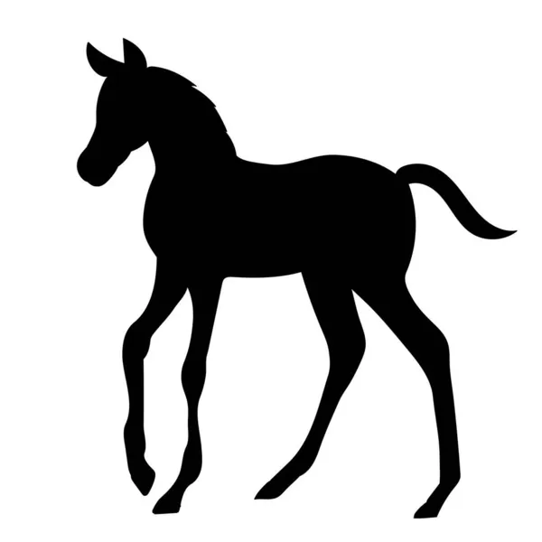 Black Silhouette Foal Isolated — Stock Vector