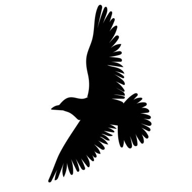 Kuş uçan siluet izole edildi, vektör