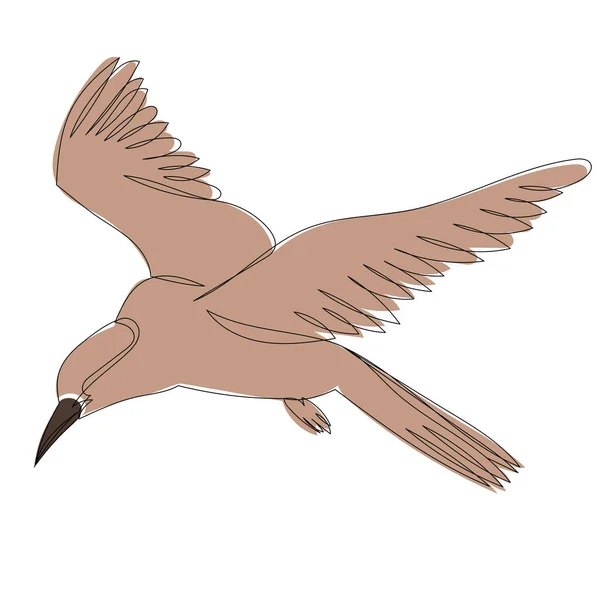 Vogel Braune Fliegen Skizze Isoliert Vektor — Stockvektor