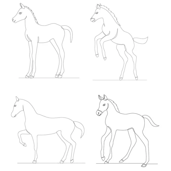 Chevaux Dessin Par Ligne Continue Isolé Vecteur — Image vectorielle