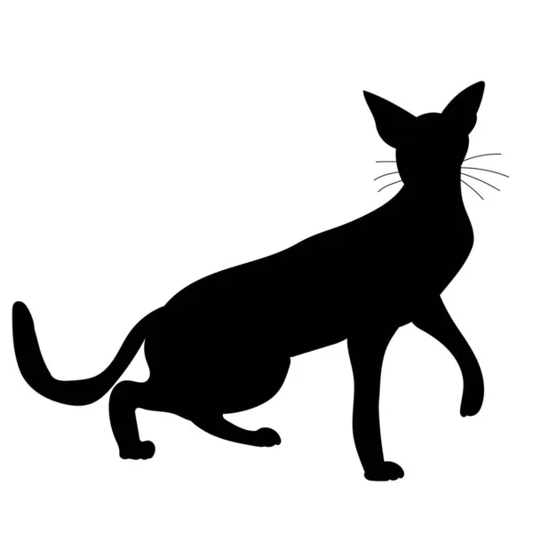 Cat Black Silhouette Isolated Vector White Background — Stock Vector