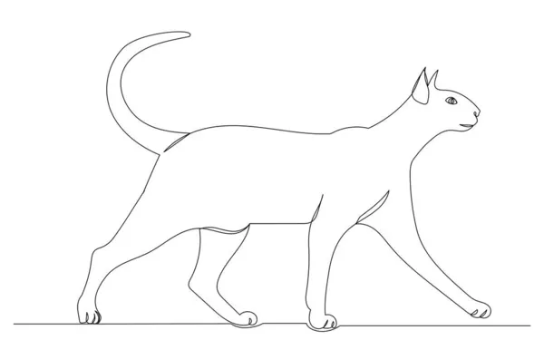 Кіт Ходить Одній Лінії Малюнка Ізольовано — стоковий вектор