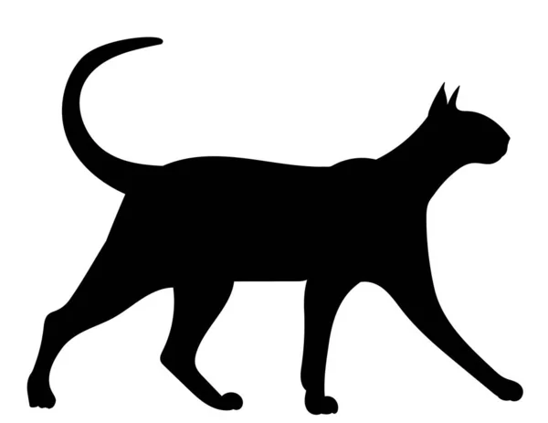 Kot Czarny Sylwetka Izolowany Wektor Białym Tle — Wektor stockowy