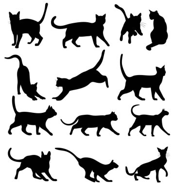 Kedi silueti seti, izole edilmiş, vektör
