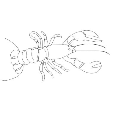 Istakoz sürekli bir çizgi, vektör, izole