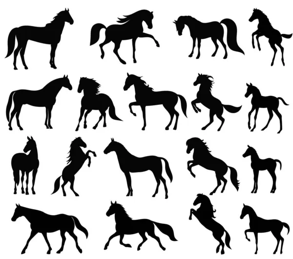 Set Collezione Silhouette Cavallo Isolato Vettore — Vettoriale Stock