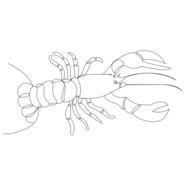 Lobster Drawing One Continuous Line Vector Isolated — Stock Vector