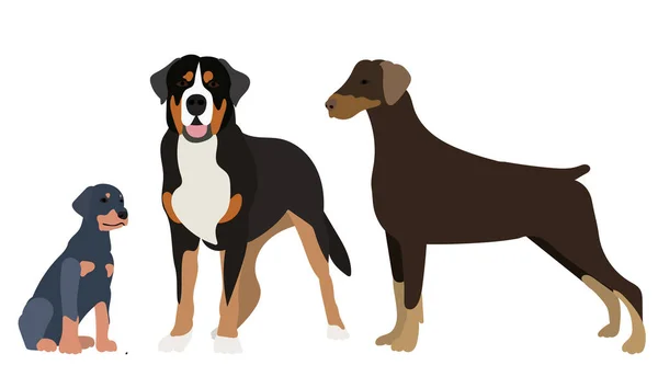 Σκύλος Και Κουτάβι Επίπεδο Στυλ Διάνυσμα Απομονωμένο — Διανυσματικό Αρχείο